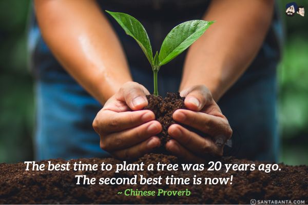 The best time to plant a  tree was 20 years ago. The second best time is now.