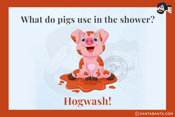 What do pigs use in the shower?<br />
Hogwash!