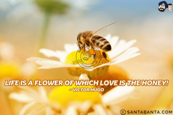 Life is a flower of which love is the honey.