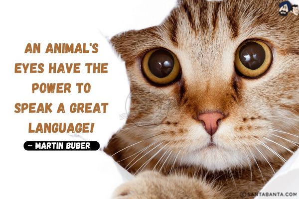 An animal's eyes have the power to speak a great language!