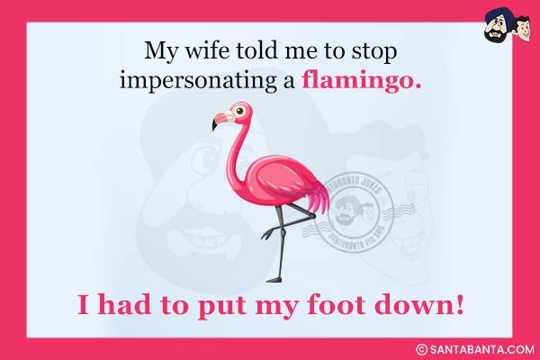 My wife told me to stop impersonating a flamingo. I had to put my foot down!