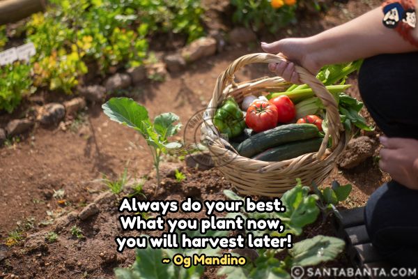 Always do your best. What you plant now, you will harvest later!