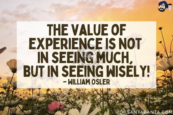 The value of experience is not in seeing much, but in seeing wisely.