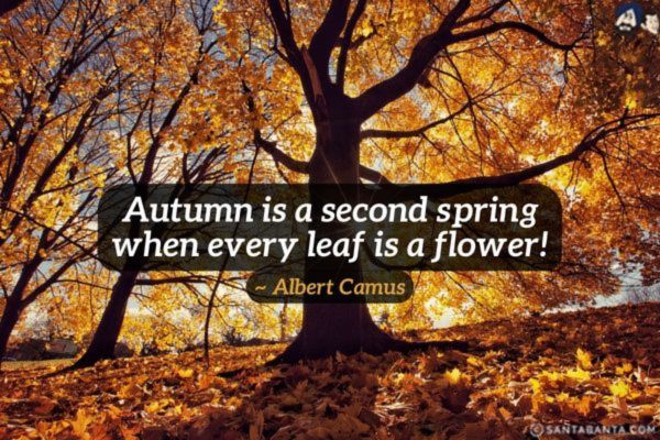 Autumn is a second spring when every leaf is a flower!