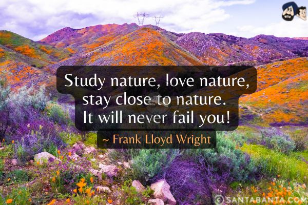 Study nature, love  nature, stay close to  nature. It will never fail you.