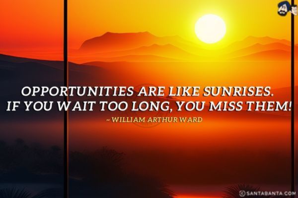 Opportunities are like sunrises. If you wait too long, you miss them!