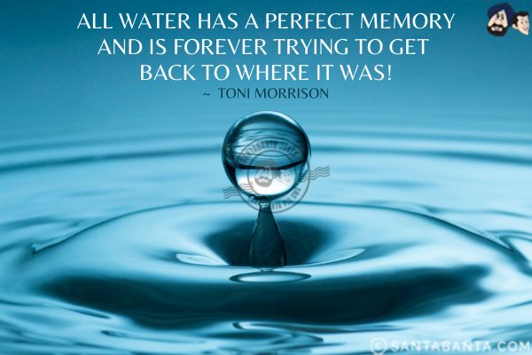 All water has a perfect  memory and is forever trying to get back to where it was.