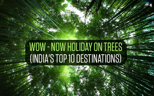 Wow - Now Holiday on Trees (India's top 10 Destinations)