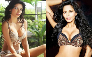 Bollywood's Kamasutra Babes 