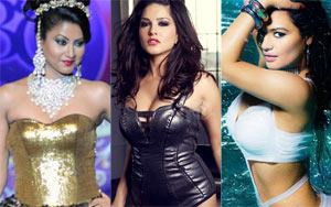 Sizzling Bombshells: Hottest Wild Card Entrants of Bigg Boss 