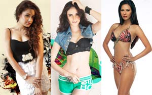 Revealed! Final List of Bigg Boss 9 Contestants