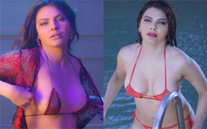 How Sherlyn Chopra is rocking Instagram with her raunchy videos?