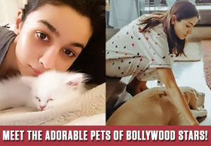 Meet the adorable pets of Bollywood stars!