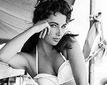 Tribute To Elizabeth Taylor