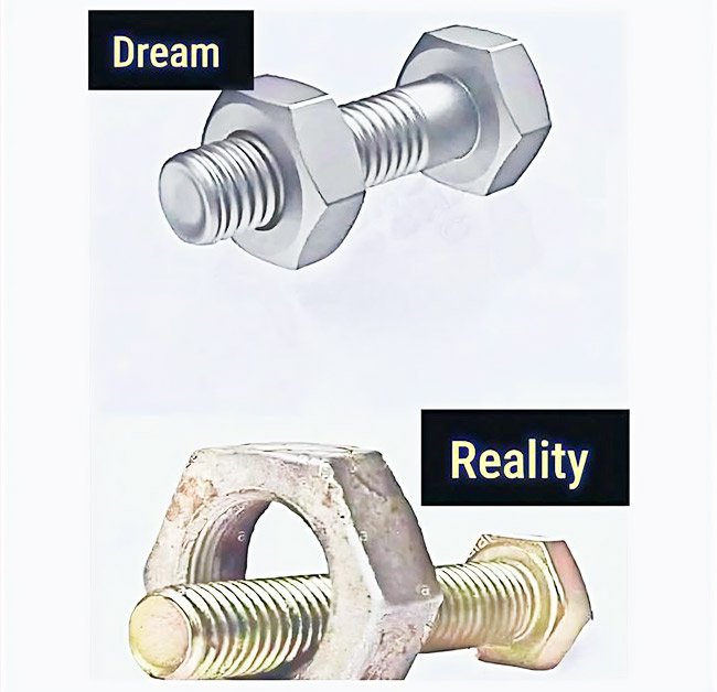 Dream Vs Reality