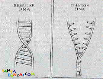 Clinton`s  DNA...