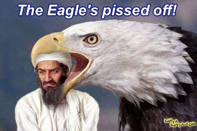 Pissed off eagle !