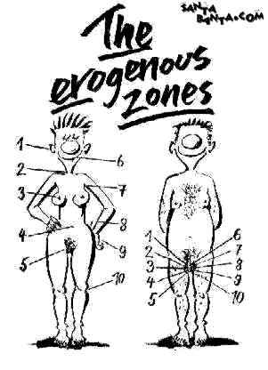 Erogenous zones!