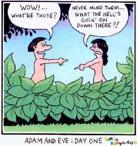 Day 1 in adam`s and Eve`s life!