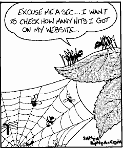 Spider`s website !