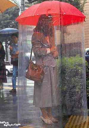 Nice Umbrella !