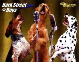 Bark Street boys!