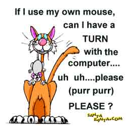 Cat`s plea....