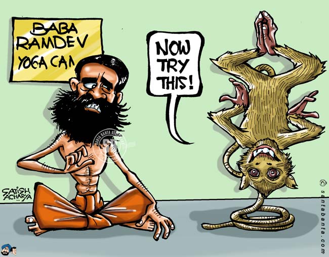 Monkey at Baba Ramdev's Camp!