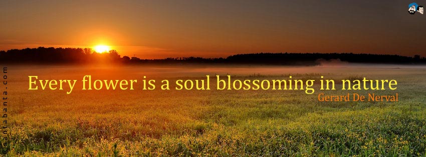 Blossoming Soul