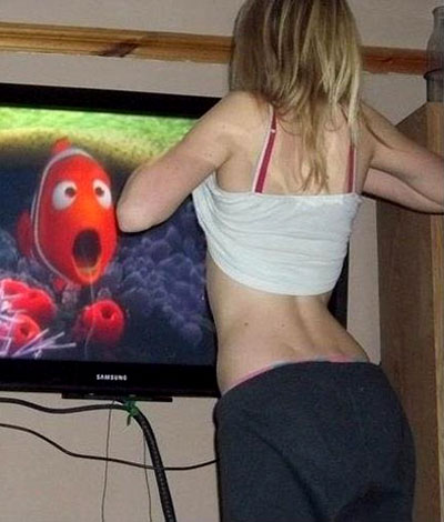 Surprising Nemo