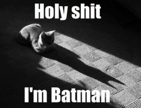 Catman to Batman