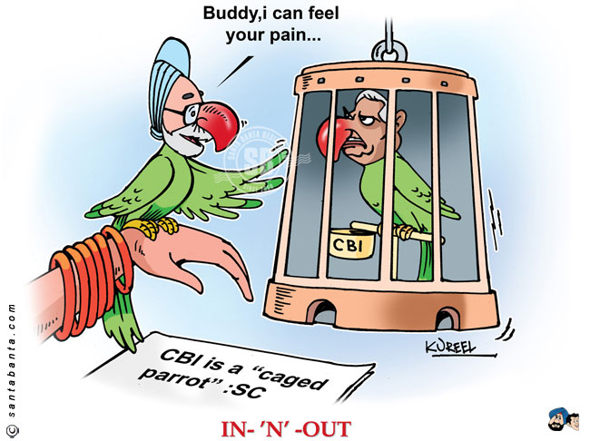 Caged Parrot!