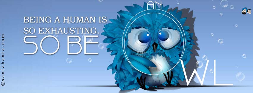 Be An Owl