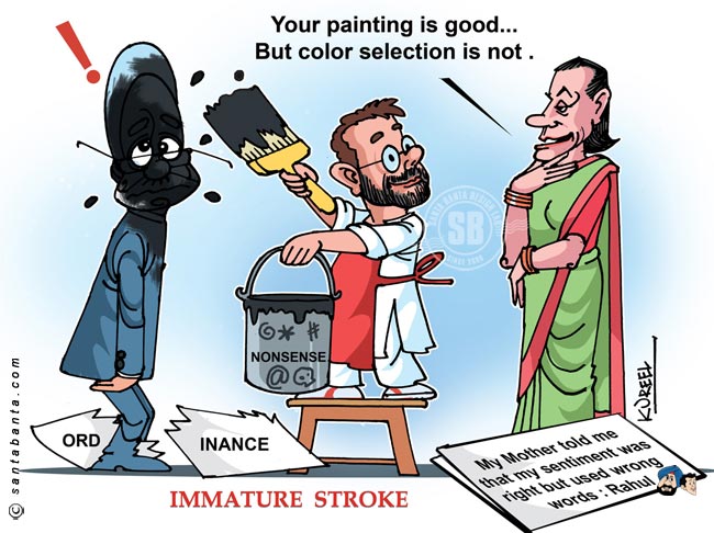 Rahul's immature stroke!