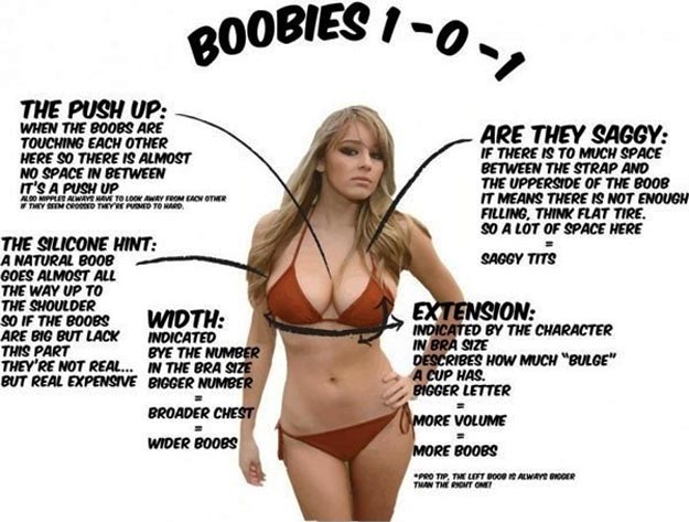 Boobies Guide