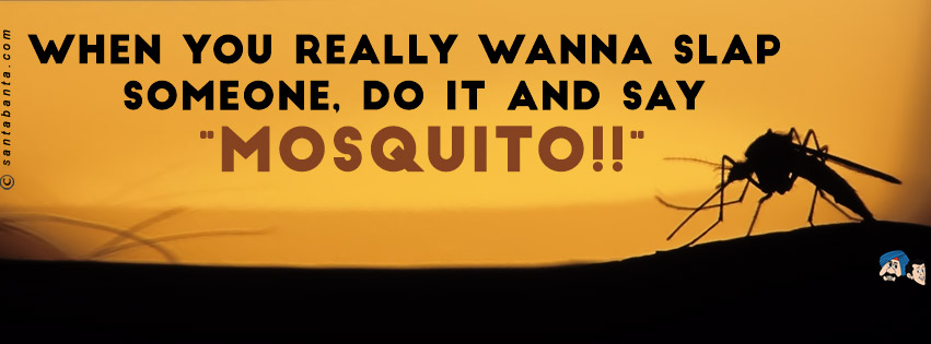 Mosquito