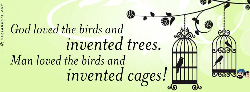 Birds and Cages