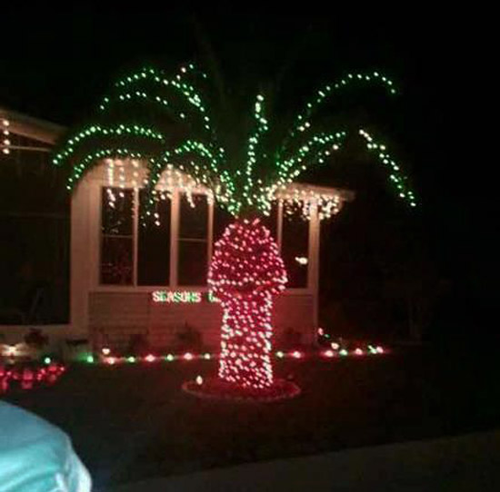 Naughty Christmas Lights