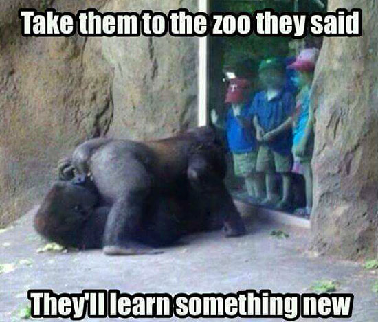 A Trip to the Zoo