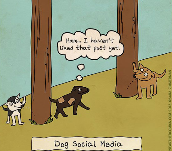 Dog Social Media