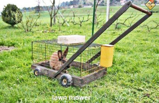 Lawn Mower!