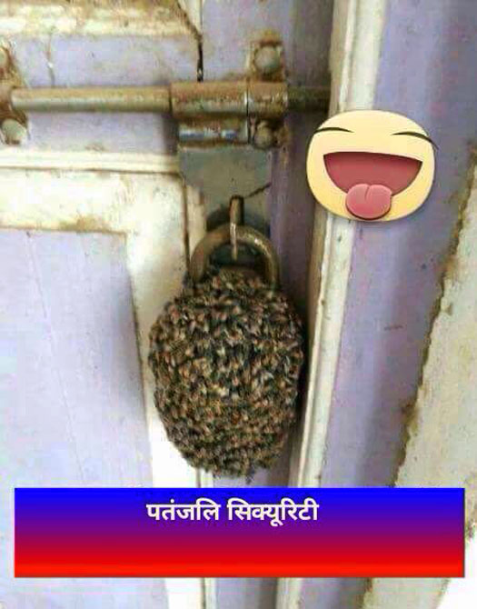 Patanjli Security