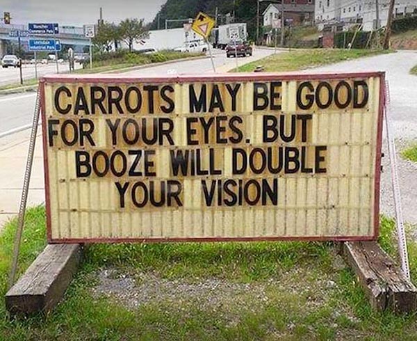 Double Your Vision