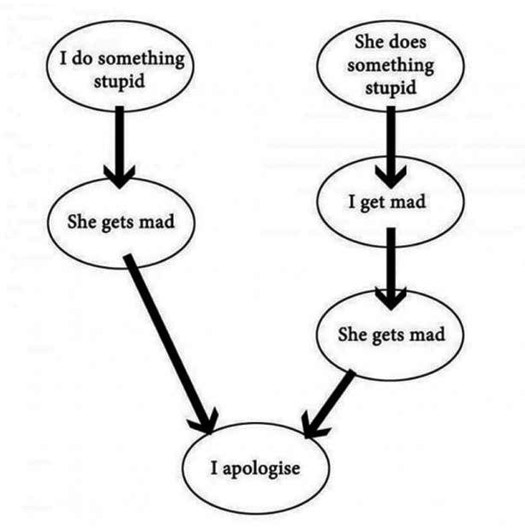 Flow Chart for Husbands