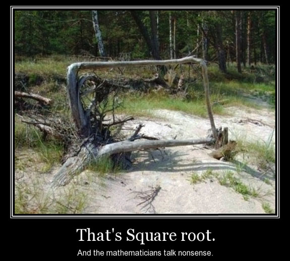 That's Square Root