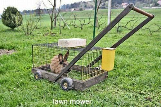 Eco-Friendly Lawn Mower