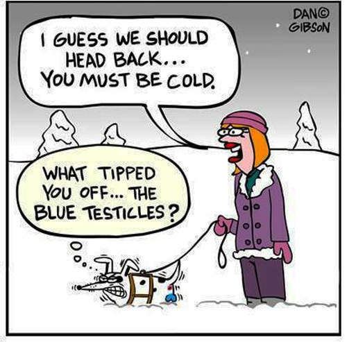 Blue Testicles!