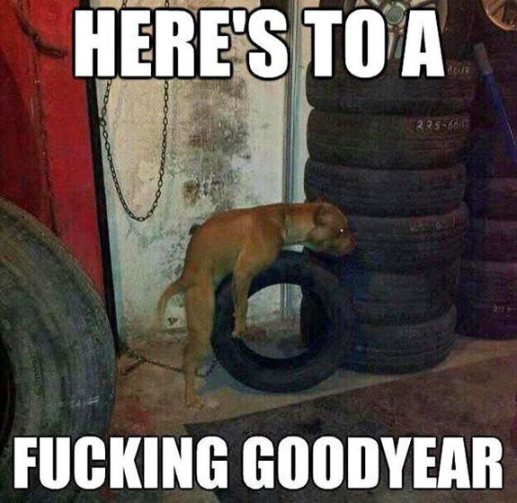 Fucking Goodyear