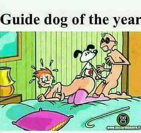 Guide Dog of The Year