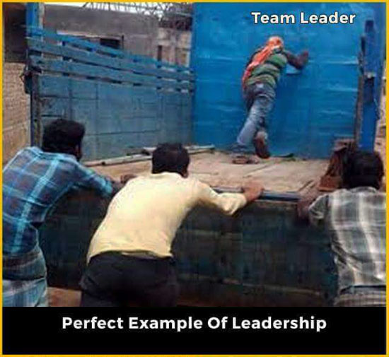 Team Leader